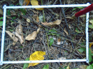 PA_2303_4_874b