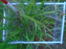 PA_2303_4_876d