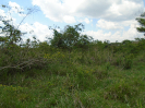 PA_2415_0_599