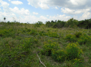 PA_2415_1_600