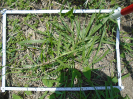 PA_2415_1_603c