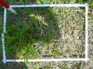 PA_2415_1_604d