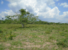 PA_2415_2_605