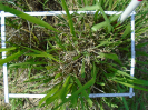 PA_2415_2_608c