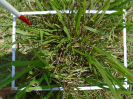 PA_2415_2_609d