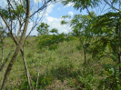 PA_2415_3_610