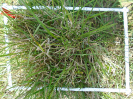 PA_2415_3_611a