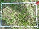 PA_2415_3_613c