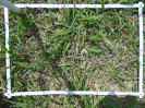 PA_2415_3_614d