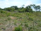 PA_2415_4_615