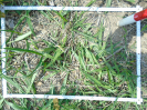 PA_2415_4_617b