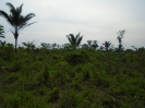PA_2417_0_340 (2)