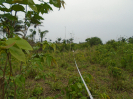 PA_2417_3_352 (2)