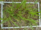 PA_2417_3_353a