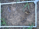PA_2417_3_354b