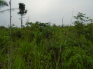 PA_2417_4_358