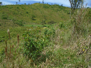 PA_2454_3_436