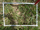 PA_2454_3_438b