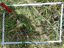 PA_2454_3_440d