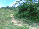 PA_2454_4_441