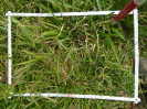 PA_2454_4_442a