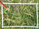 PA_2454_4_443b