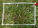 PA_2454_4_444c