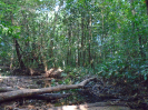 PA_758_1_965