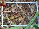 PA_758_1_966a