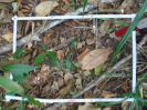 PA_758_1_967b