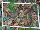 PA_758_1_968c