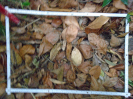 PA_758_1_969d