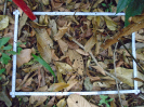 PA_758_2_971a