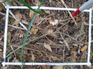 PA_758_2_972b