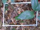 PA_758_2_973c