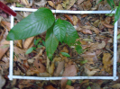 PA_758_2_974d