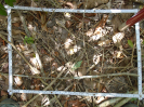 PA_761_3_929c