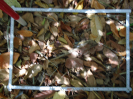PA_761_3_930d