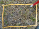 PA_819_4_389b