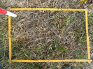 PA_819_4_391d