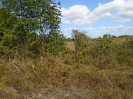PA_825_1_832