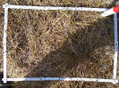 PA_825_1_835c