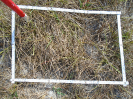 PA_825_1_836d