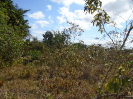 PA_825_2_837