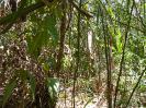 PA_882_2_475