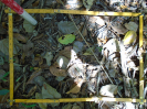 PA_882_2_476a