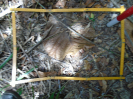 PA_882_2_478c