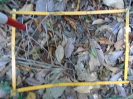 PA_882_2_479d
