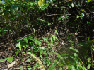PA_883_0_652