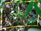 PA_883_1_664a